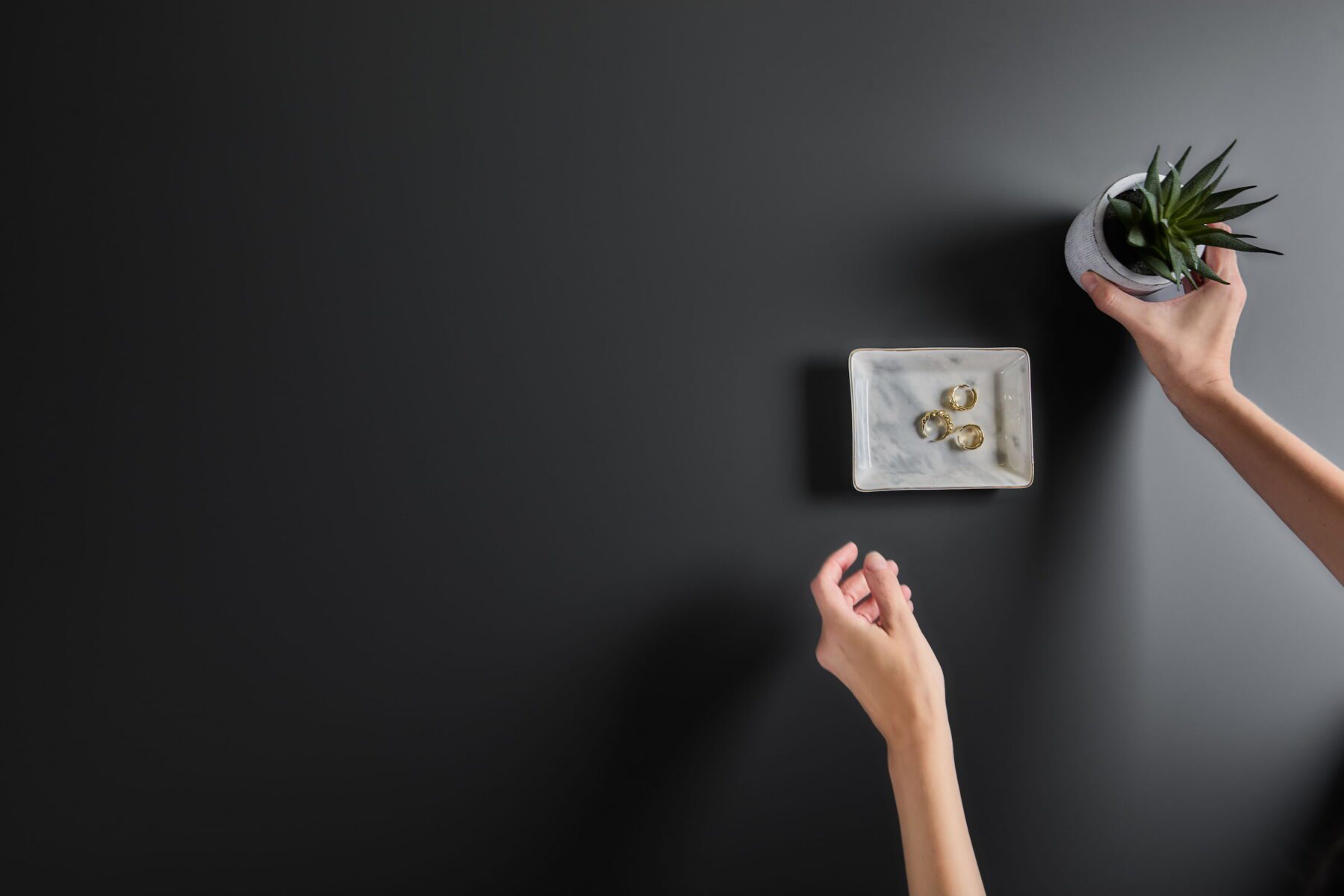 zenit nueva generacion